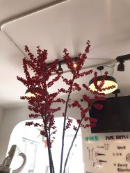 -净漪造型 PURE RIPPLE