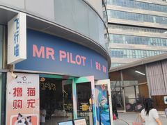 -飞行喵MR PILOT|猫舍·猫咖(静安大融城店)