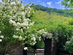 -看见远方·莫干遥远的山民宿