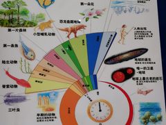 -大连自然博物馆