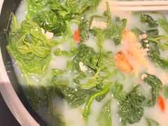 -羽鸽集·乳鸽专门店·地道顺德菜(岭南站店)