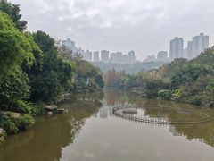 -龙头寺公园