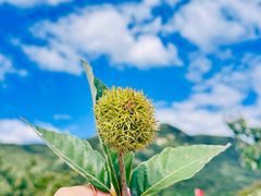-天津盘山风景名胜区