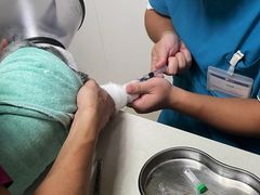 -宠颐生汉谟拉比宠物医院
