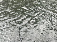 -阿哈湖国家湿地公园