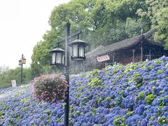 -苏州上方山国家森林公园