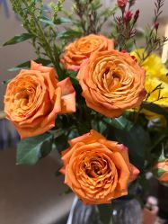 -Oasis Beauty水磨坊科技美肤中心