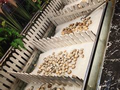 -釜御山海鲜烤肉火锅自助(新城市中心店)