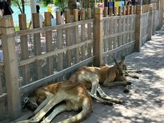 -水上乐园·欢乐世界