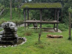 -中国大熊猫保护研究中心雅安碧峰峡基地