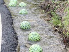 -华蓥山天意谷景区