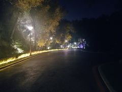 -辽宁友谊宾馆