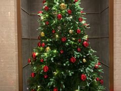 -康莱德酒店·美庭自助餐厅