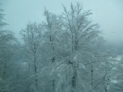 -Wengen Mannlichen Aerial Cableway