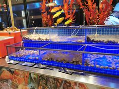 -松咖啡自助餐厅·松北香格里拉