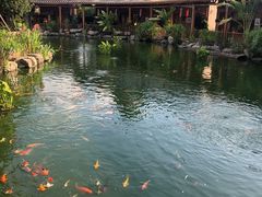 -大门水乡·顺德菜