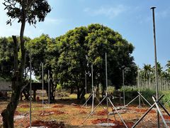 -侯臣咖啡文化村