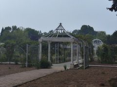 -石家庄市植物园