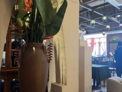 -翡翠鸟精品泰国菜(北辰财富中心店)