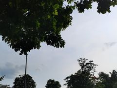 -森波拉奇妙世界