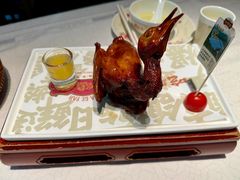 -大鸽饭(岗顶店)