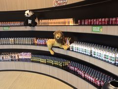 -涨巢·潮玩水疗局