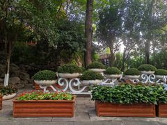 -绵阳人民公园(涪城区)