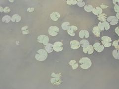-百年恒益烧腊海鲜酒家·非遗传承(广州黄埔店)