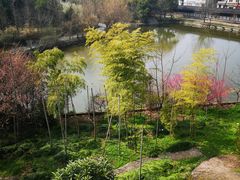 -东坡赤壁风景名胜区