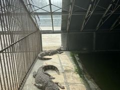 -秦皇岛野生动物园