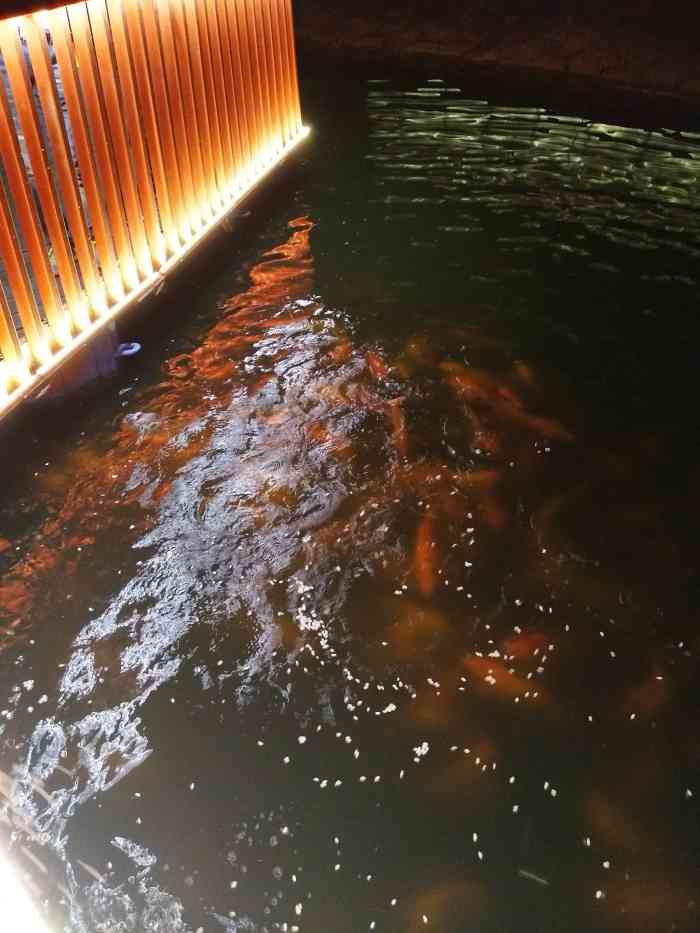 大鼓米线(和平莱茵广场店)-"最爱他家肥牛大鼓米线,酸酸的番茄味道很