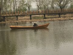 -白渔泡湿地公园