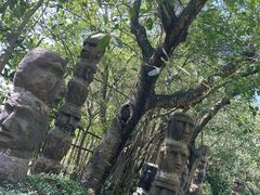 -深圳国际园林花卉博览园