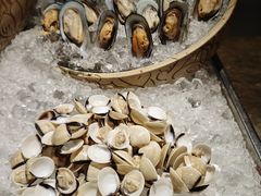 -广州奥园喜来登酒店
