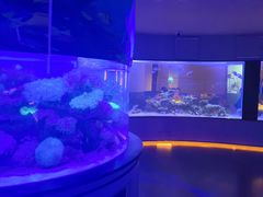 -上和臻品中国菜(花园街店)