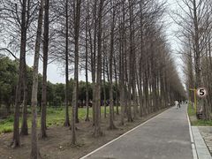 -柳鹭田园区