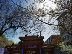 -桃花堤公园