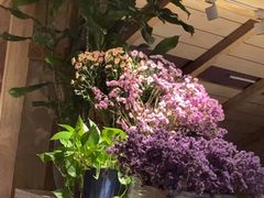 -春暖花开(西溪店)