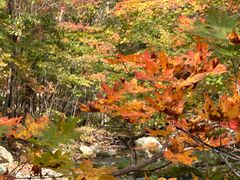 -本溪老边沟风景区
