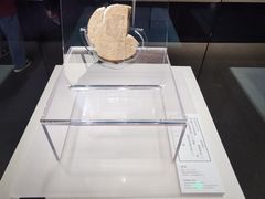-隋唐大运河文化博物馆
