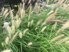 -北京周口店北京人遗址博物馆