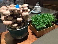 -捞王锅物料理(上海世茂广场店)