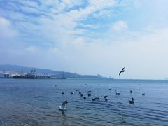 -幸福门