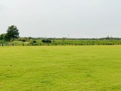 -嘉北郊野公园