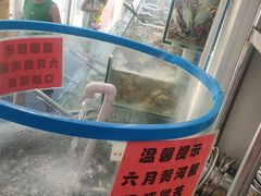 -仙螺岛海鲜自助餐厅(总店)