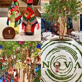 ️🎅珠海圣诞🎄圣诞氛围感满满的必打卡点🔔❄