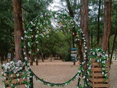 -玫瑰海岸文化旅游度假区