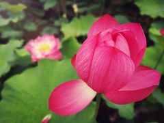 -长安上水缘度假庄园