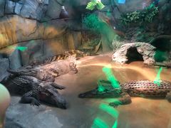 -西安秦岭野生动物园