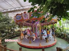 -南宫五洲植物乐园